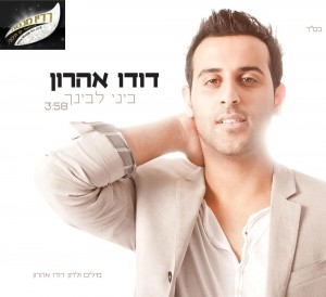 דודו אהרון – "ביני לבינך"